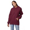 Hanes Ultimate Men's Heavyweight Fleece Hoodie - 4 of 4