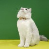 ZEZE Plaid Pet Bow Tie - 4 of 4