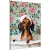 Amanti Art Bath Time Dachshund by Mowzu  Framed Canvas Wall Art - 2 of 4