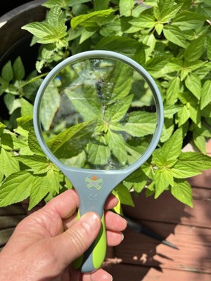 3x Magnifying Glass - Looking for eggs and larvae - BackYardHive