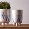 Melrose Modern Pine Tree Planter with Legs (Set of 2) - 3 of 3