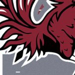 south carolina gamecocks