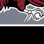 south carolina gamecocks