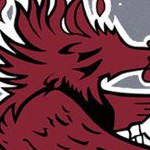 south carolina gamecocks