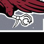 south carolina gamecocks