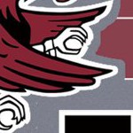 south carolina gamecocks