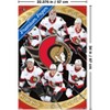 Trends International NHL Ottawa Senators - Team 25 Unframed Wall Poster Prints - 3 of 4