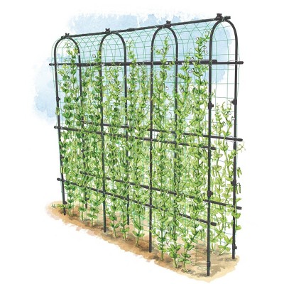 Titan Pea Tunnel, Extra Strong Lightweight Metal Trellis for Vegetables and Flowers - Gardener's Supply Company