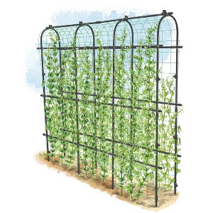 Titan Pea Tunnel, Extra Strong Lightweight Metal Trellis for Vegetables and Flowers - Gardener's Supply Company - 1 of 4