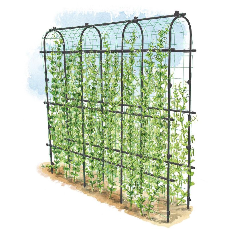 Titan Pea Tunnel, Extra Strong Lightweight Metal Trellis for Vegetables and Flowers - Gardener's Supply Company, 1 of 6