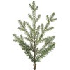 Haute Decor 7' Prelit Alberta Pine Christmas Tree - 4 of 4