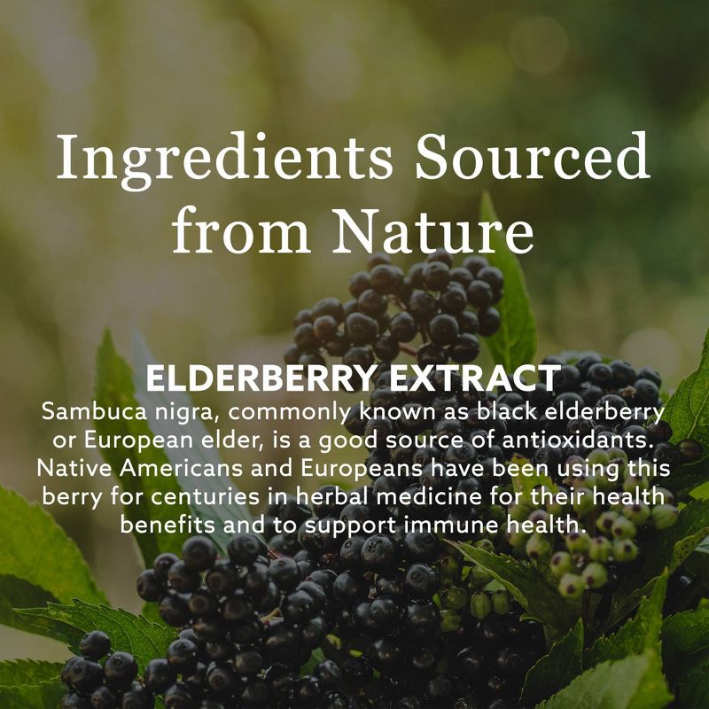 New Nordic Elderberry Vegan Gummies - 60ct, 5 of 10