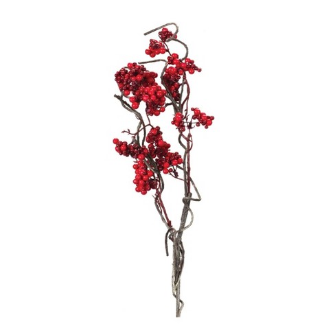 Melrose Berry Twig Branch (Set of 12) - image 1 of 3