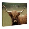 Stupell Industries Highland Cattle Shaggy Hair Country Animal Portrait Photography Canvas Art, 30" x 24" - 2 of 4