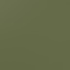 olive - toddler