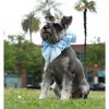 Disney Cinderella Premium Pet Collar - 2 of 2