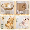 Yaheetech 36″ Tall Rattan Cat Tree with Natural Sisal Scratching Post, Hanging Ball, Condo, Basket, Clear Bowl - 4 of 4