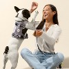 THE LICKER STORE Arlo Adjustable Soft Padded No Pull Pet Harness with 3 Buckles and 3 Leash Clips - 2 of 4