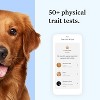 Wisdom Panel Premium Dog DNA Kit:Most Comprehensive with 265+ Health Tests,Identify 365+Dog Breeds,50+ Traits,Relatives,Ancestry,Genetic Diversity - 4 of 4