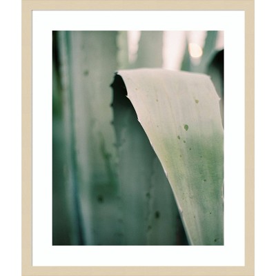 Succulent I Svelte Natural Framed Giclee Print Wall Art