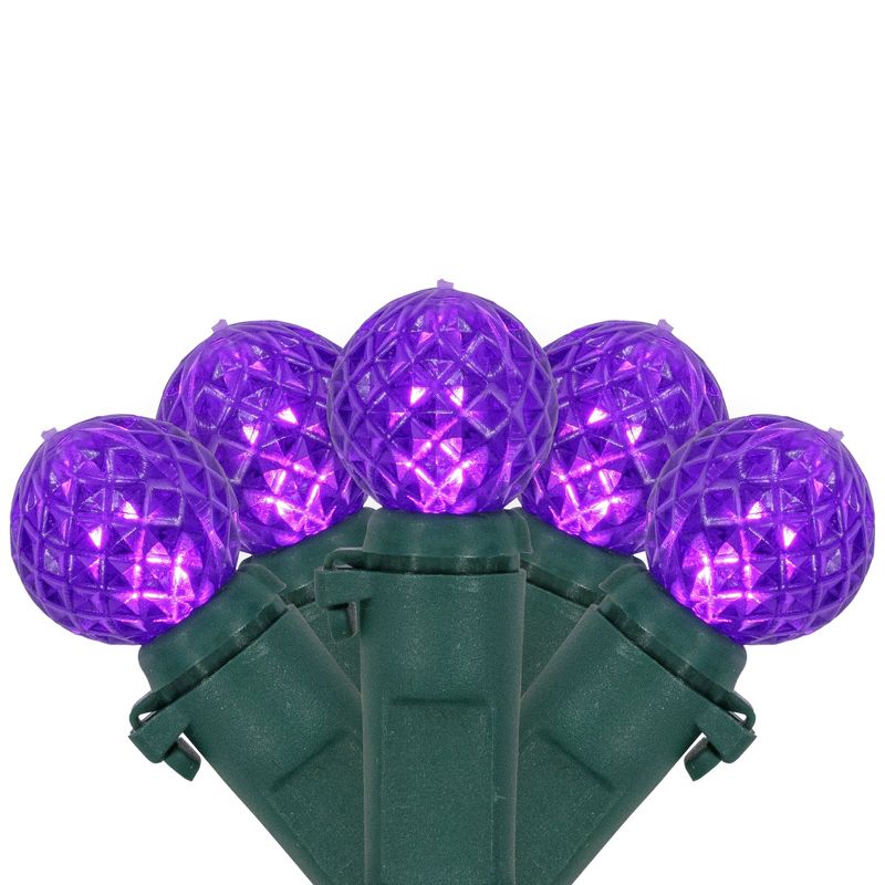 Northlight LED G12 Berry Christmas Lights - 16' Green Wire - Purple - 50 ct, 1 of 6