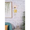 Elegant Lighting Neri 1 light brass and clear glass wall sconce - 2 of 4