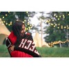 NCAA Texas Tech Red Raiders Ultra Soft Tailgate Throw Blanket - 2 of 2