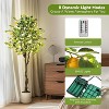 Artificial Lemon Tree Indoor, Pre-lit Potted Faux Lemon Tree with Fruit and Leaves, Lemon Plant with Lights for Home Decor Office Living Room - 3 of 4