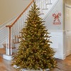 9' Prelit LED Frasier Grande Artificial Christmas Tree Multicolor Lights - National Tree Company - 2 of 4