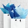 Wrapables Tissue Paper 20 x 28 Inch for Gift Wrapping, Arts & Crafts, Paper Flowers, Garlands, Tassels (60 Sheets), Blue - 3 of 4
