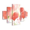 Trademark Fine Art Sheila Golden Poppy Perfection 5 Piece Panel Set Art - 2 of 3