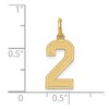 Black Bow Jewelry 14k Yellow Gold, Jersey Collection, Medium Number 2 Pendant - 4 of 4