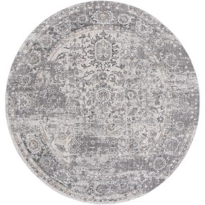 Finley FIN316 Power Loomed Indoor Rugs - Safavieh - 1 of 4