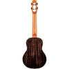 Flight Nighthawk Concert Acoustic-Electric Ukulele Black - 2 of 2