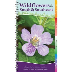Wildflowers of the South & Southeast - (Adventure Quick Guides) by  Jaret C Daniels (Spiral Bound) - 1 of 1