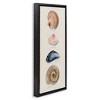 Stupell Industries Traditional Nautical Sea Shells, 11" x 25" - 3 of 4