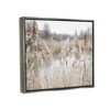 Stupell Industries Rural Pampas Grass Reeds Lakeside Pond MarshFloater Canvas Wall Art - 3 of 4