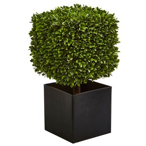 Nearly Natural 27-in Boxwood Artificial Plant in Black Planter (Indoor/Outdoor) - 1 of 3