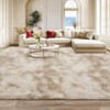 Modern Fluffy Area Rugs for Bedroom Living Room, Plush Soft Thick Fuzzy Shaggy Carpet for Kids Nursery Dorm - 3 of 4