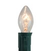 Northlight Pack of 25 Incandescent C7 Clear Christmas Replacement Bulbs - 3 of 3