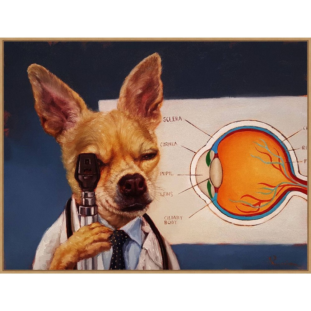 42"" x 32"" Seeing Eye Dog by Lucia Heffernan Framed Canvas Wall Art Print - Amanti Art: Lithograph, Modern Decor -  89516594