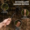 Itopfox Hand Cultivator Rake with Walnut Handle, 4 Durable Tines for Weeding, Digging, Cultivating, Loosening Soil, Aerating, Transplanting in Garden - 3 of 4