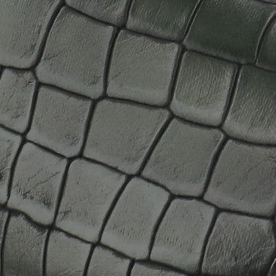 croco/olive