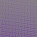 orlando city soccer club