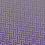 orlando city soccer club
