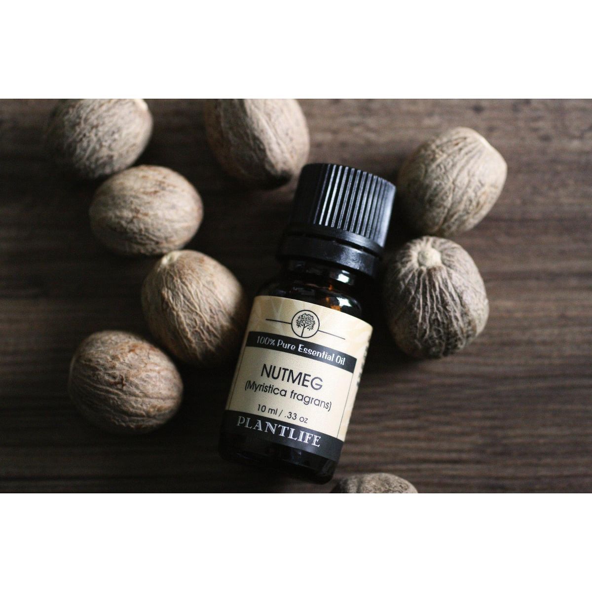 Plantlife Nutmeg Aromatherapy Essential Oil – 100% Pure, Therapeutic Grade, No Additives or Fillers, 10 ml - thumbnail 3