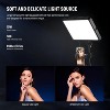 MaseiKar BASICS 2-Pack LED Video Light Panel Lighting Kit with 2 x 59" Stand & 2 x Phone Holders 850lx/0.5m Bi-Color 2700K-6500K Dimmable Studio Light - 3 of 4