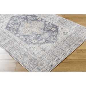 Hauteloom Bethan Living Room, Bedroom Machine Washable Area Rug - Traditional - 1 of 4