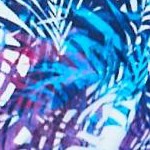 multi color leaves