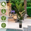 Gulches 2025 New adhesive fabric traveler banana leaf 15 leaf home decoration indoor decoration artificial green plant 2pcs/set - 3 of 4